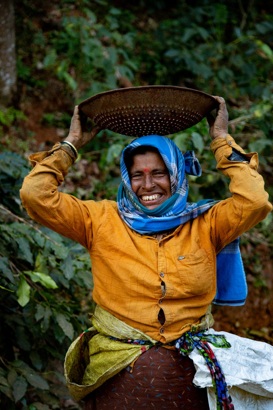 RENAISSANCE (100% ROBUSTA)