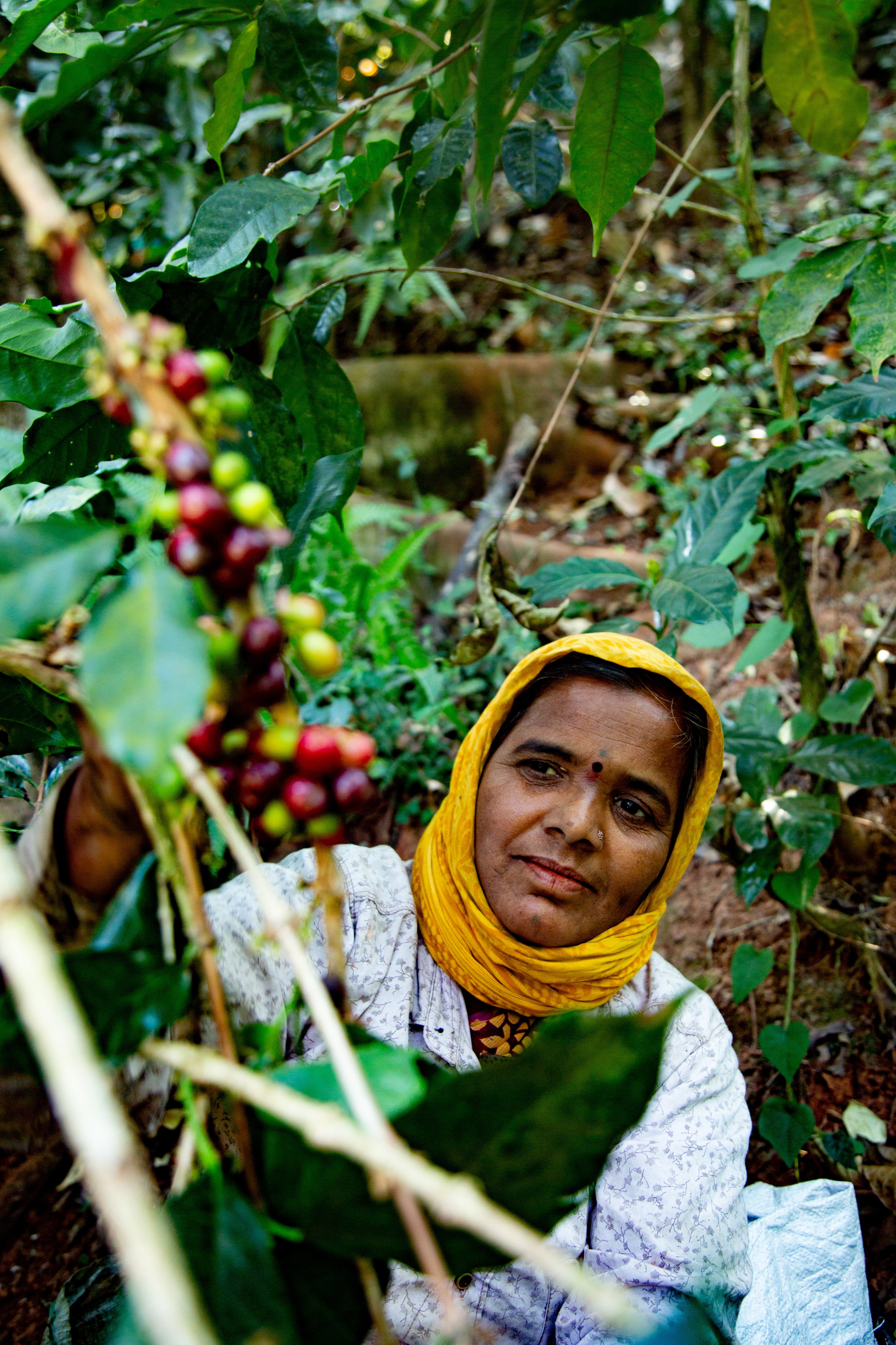 Monkey Business — Single Estate Washed Arabica