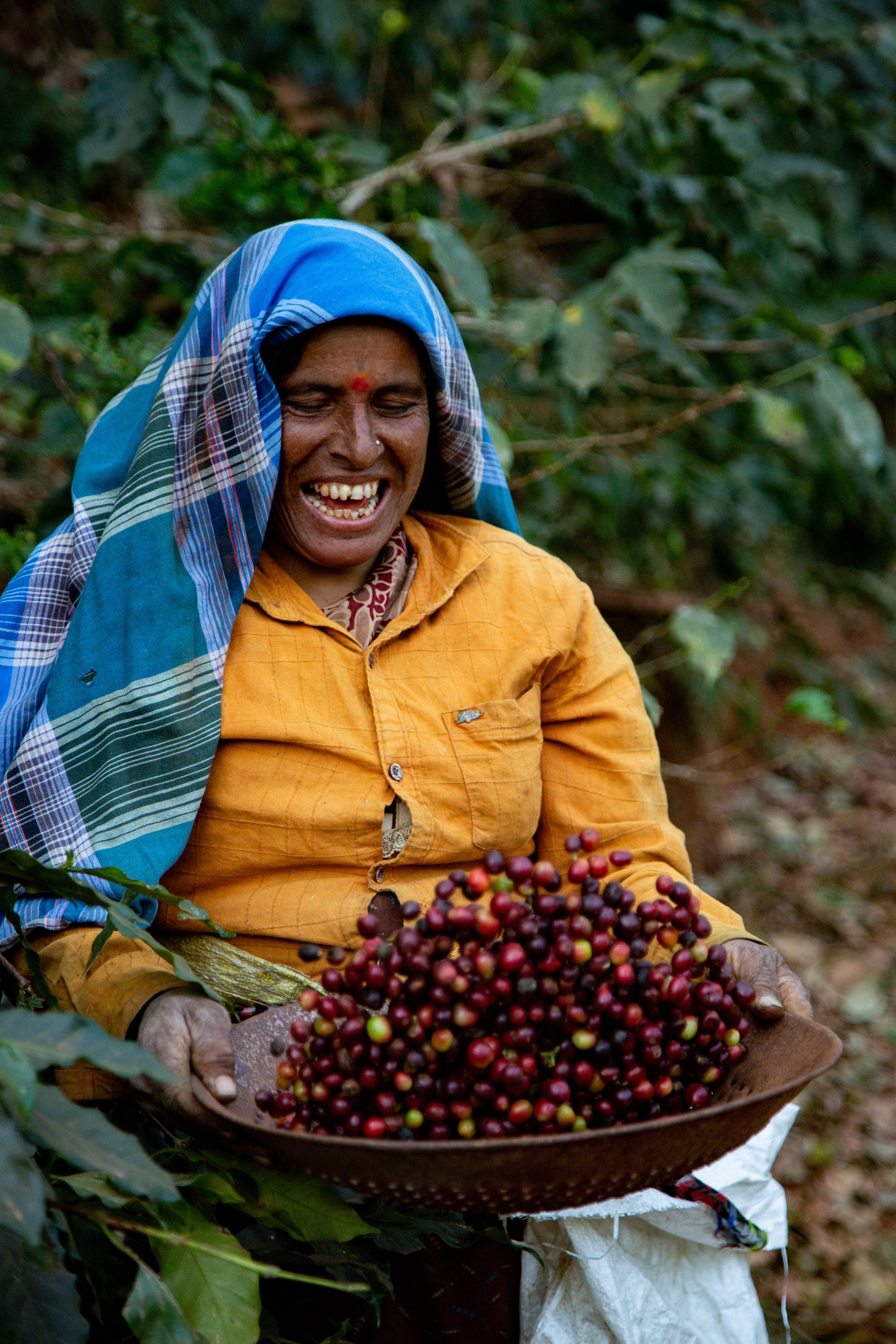 Cherry Pick — 4oz Sample · Anaerobic Natural