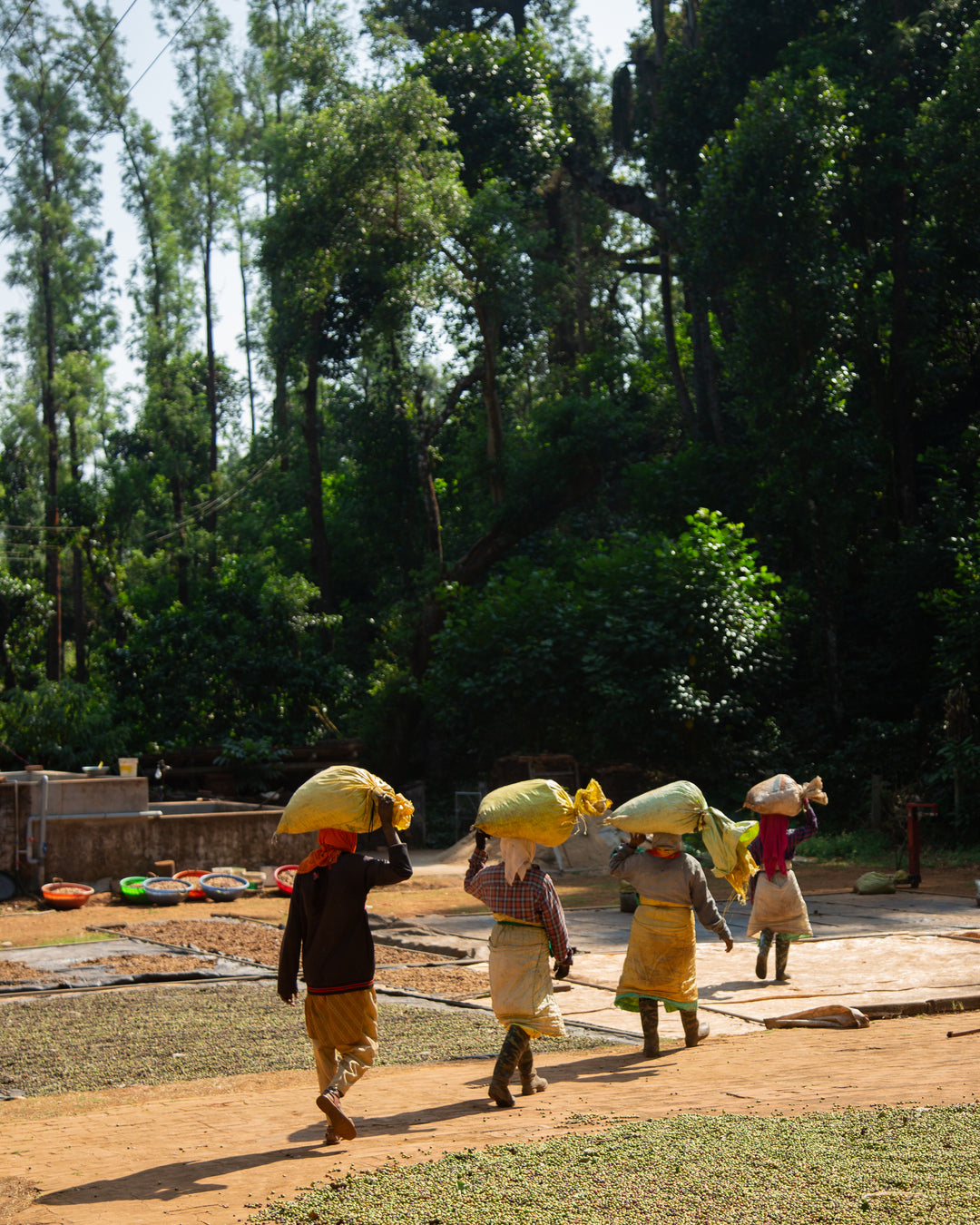 Fan Favorites Gift Box